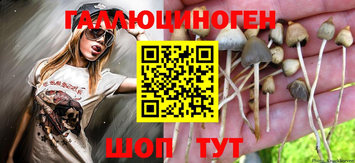 Галлюциногенные грибы мухоморы Балабаново
