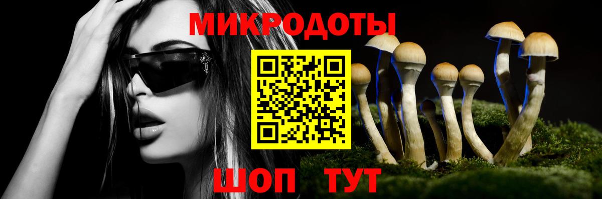 Псилоцибиновые грибы мицелий  Псилоцибиновые грибы прущие грибы  Вход с VPN  Балабаново 