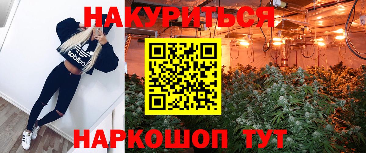 Конопля марихуана Балабаново